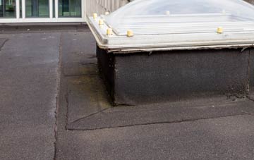 disadvantages of Drumvaich flat roofs